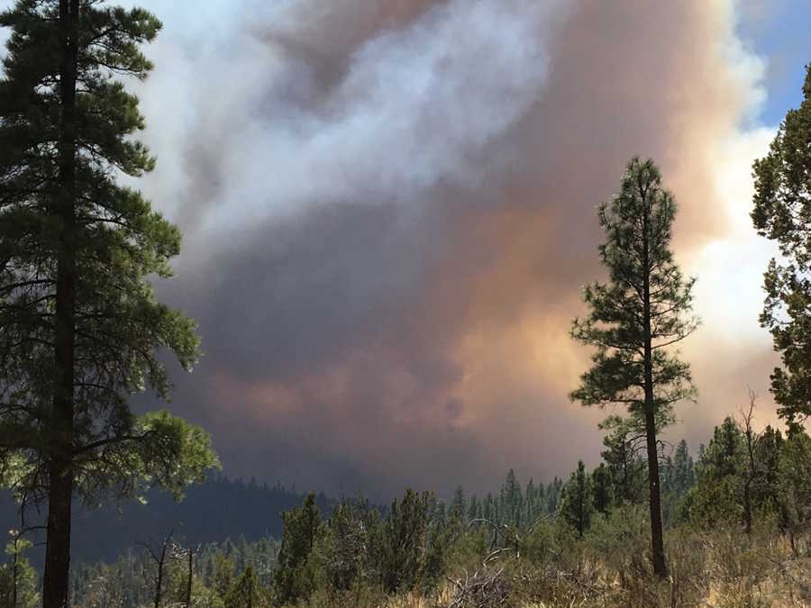 Tinder Fire information 47 structures lost in northern Arizona fire